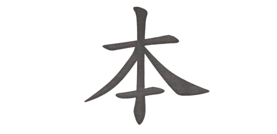 kanji książka