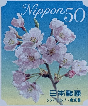 kwiaty japońskie - wiśnia