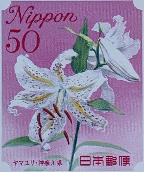 kwiaty japońskie - lilia