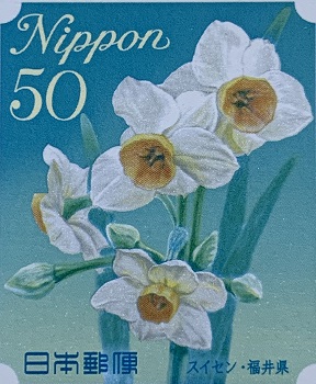 kwiaty japońskie - narcyz