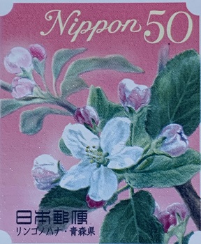 kwiaty japońskie - jabłoń