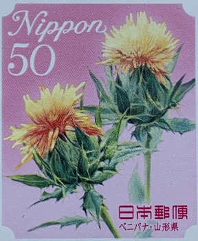 kwiaty japońskie - krokosz barwierski